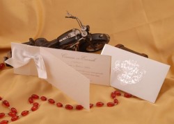 <b class=red>Defne</b> Davetiye - 1687